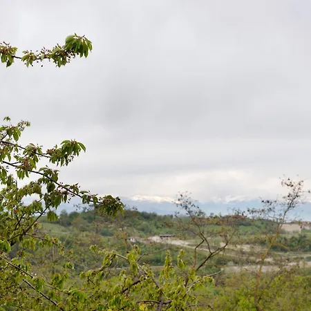 Semesterbostad Casa Rea Murazzano (Cuneo)
